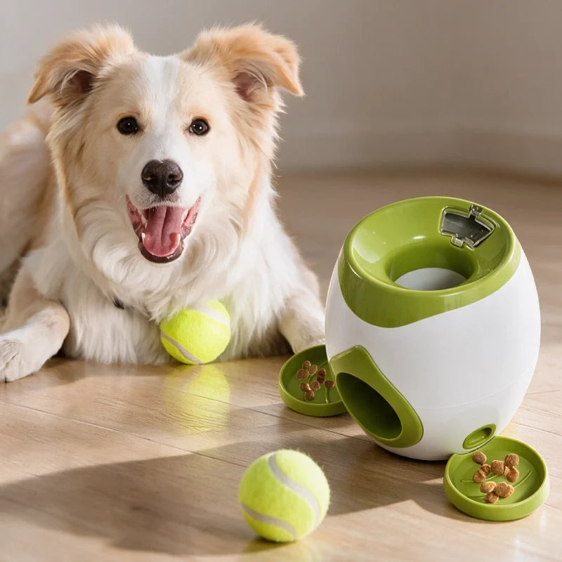Play & Enrichment