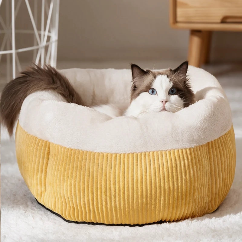 Comfort & Sleep