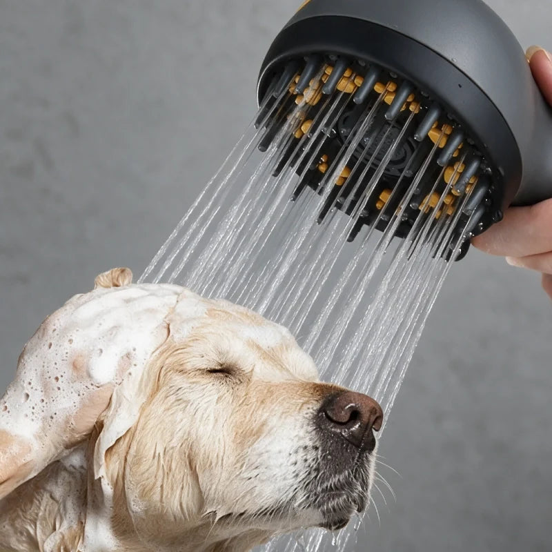 Hygiene & Home